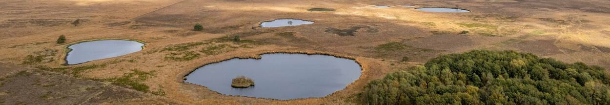 Foto van bovenaf van pingoruïnes, afgesmolten ijsheuvels, in het Nationaal Park Dwingelderveld. Te zien zijn diverse ronde watertjes in het landschap.