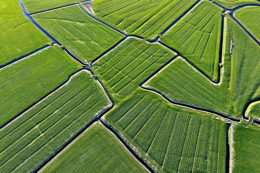 Luchtfoto van Greppelland in Friesland: groene velden dooraderd met water.