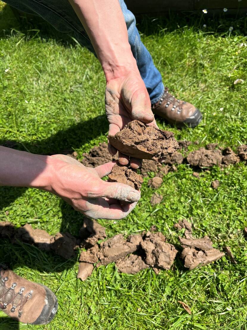 Foto van het resultaat van een grondboring: in beeld twee handen van een persoon die op een grasveld opgeboord klei vasthoudt.