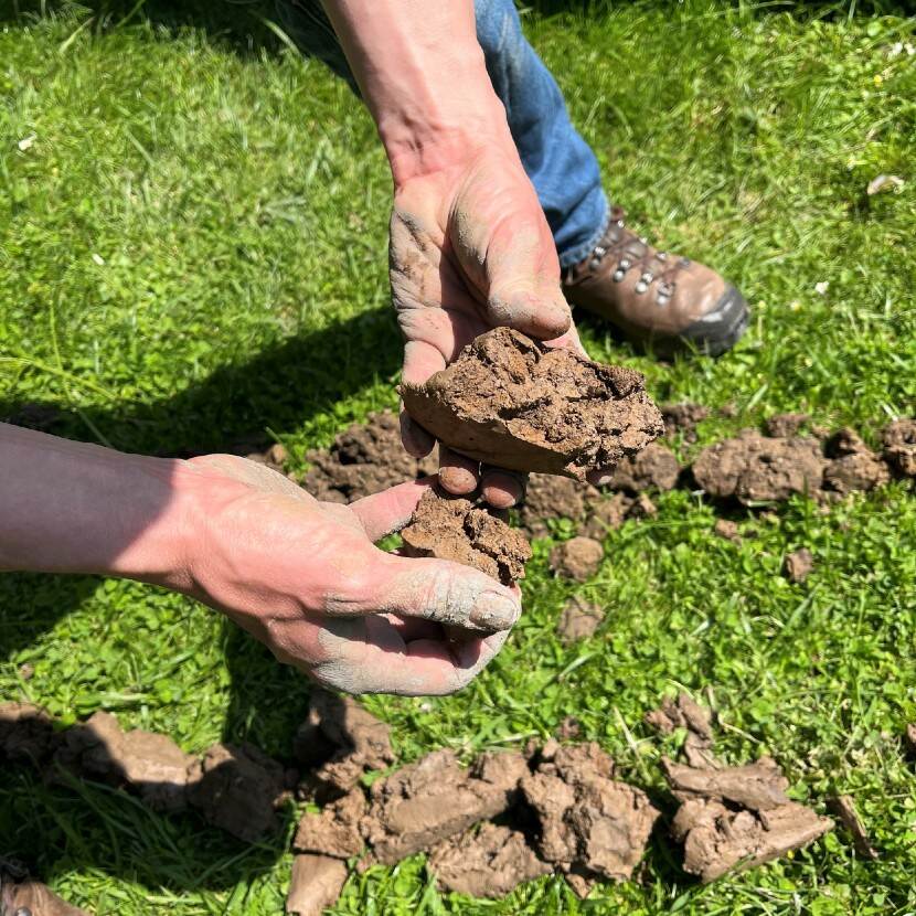 Foto van het resultaat van een grondboring: in beeld twee handen van een persoon die op een grasveld opgeboord klei vasthoudt.