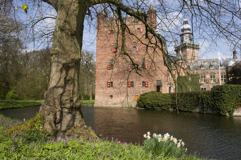 Foto van Kasteel Nijenrode in Breukelen met een boom voor de gracht