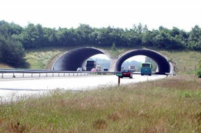 De ecoduct Woeste Hoeve met daaronder een snelweg waar auto's door een tunnel gaan.