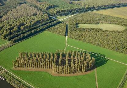 Luchtfoto van de groene Kathedraal